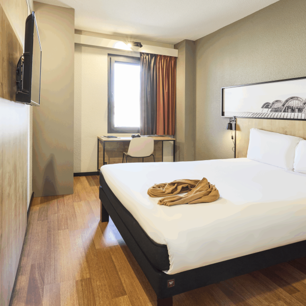 Ibis Valladolid 3204(8)